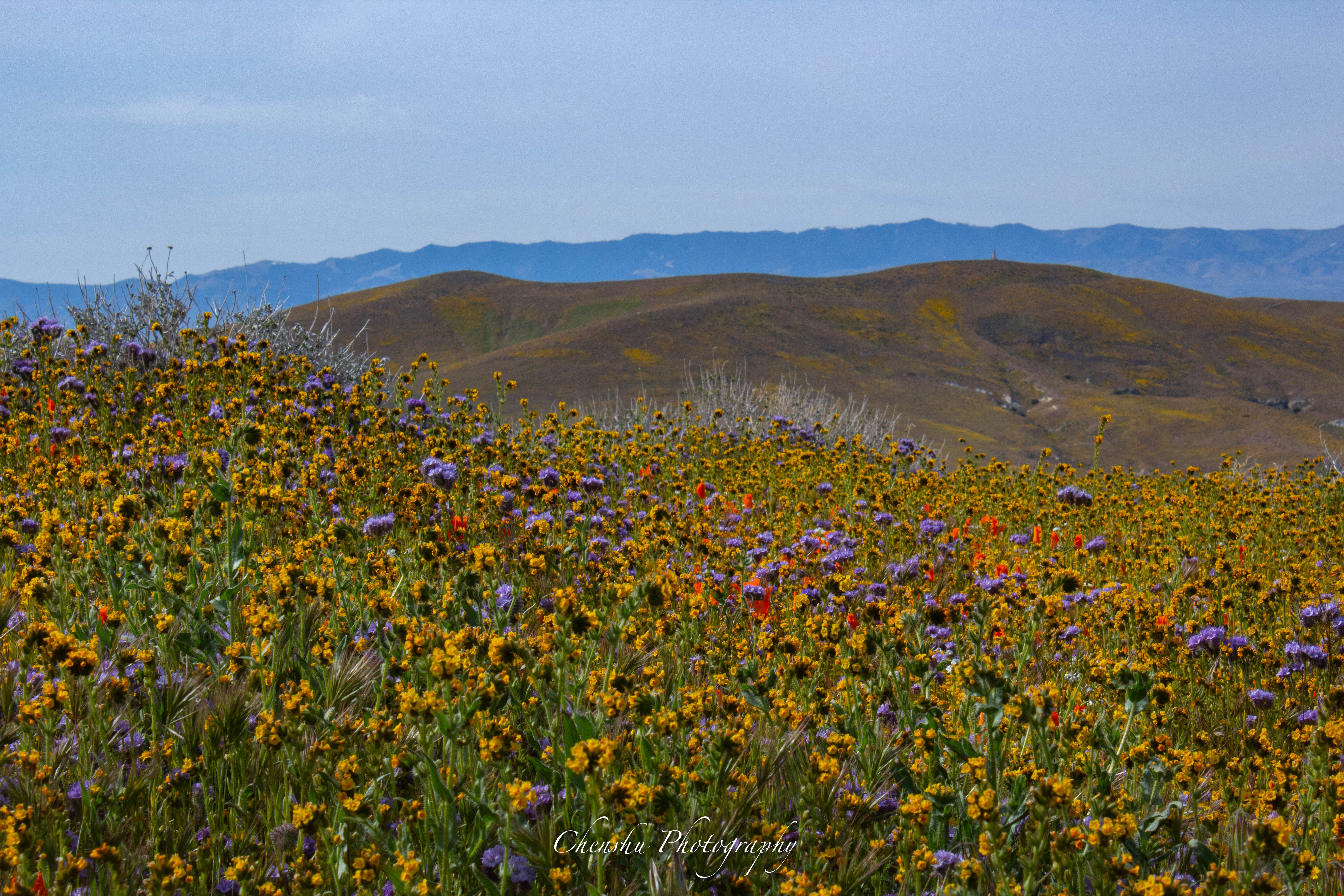 Antelope Valley