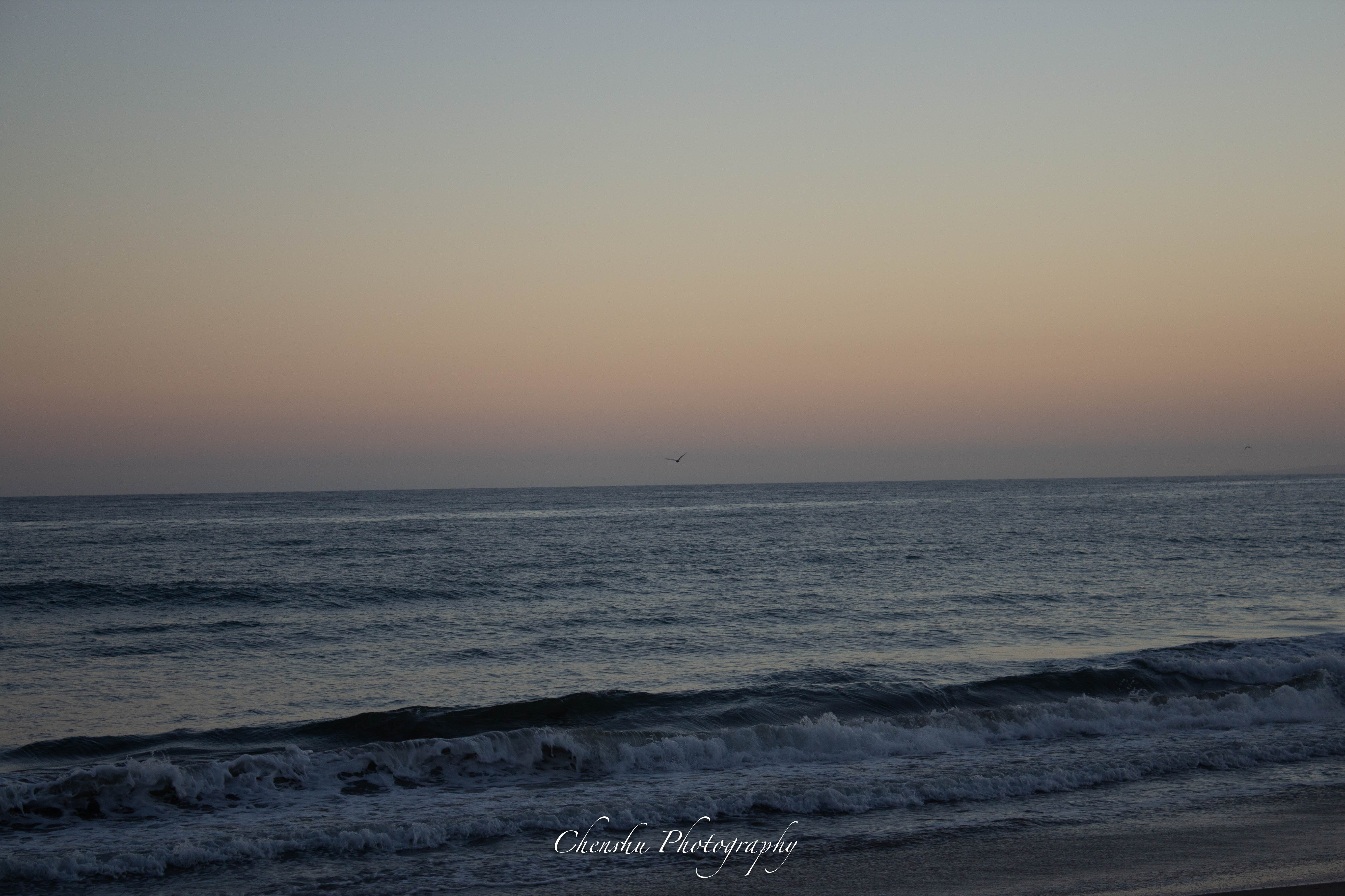 Will Rogers Beach