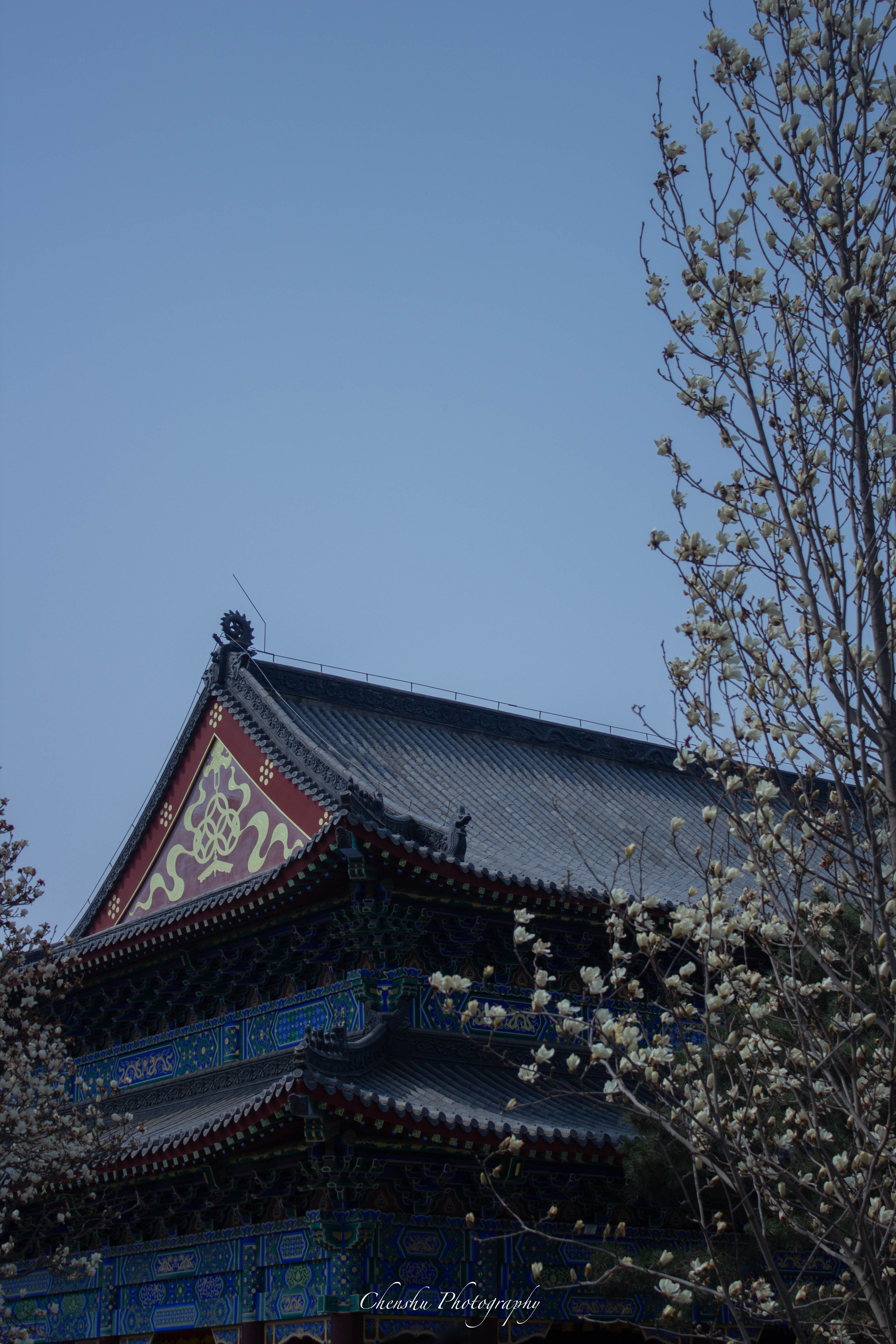 沈阳东塔