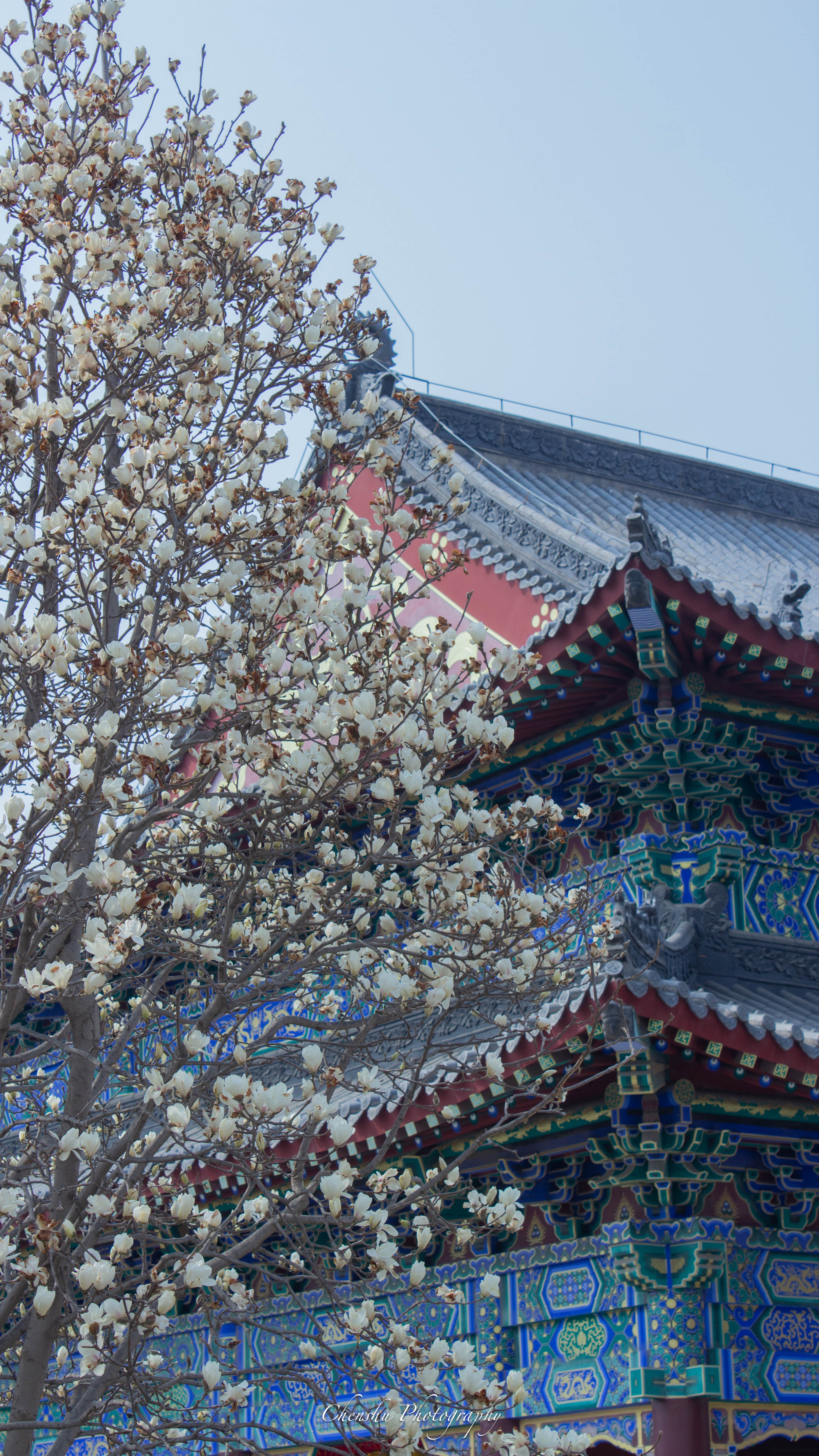 沈阳东塔