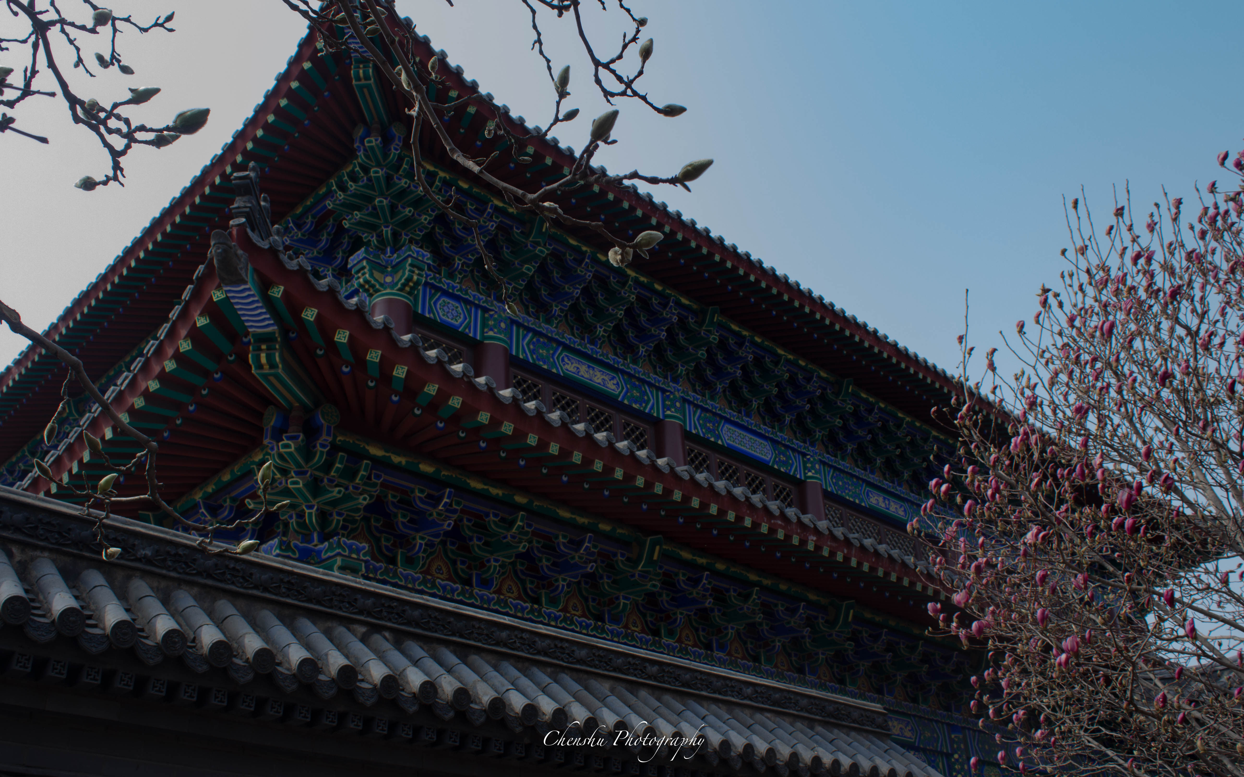 沈阳东塔